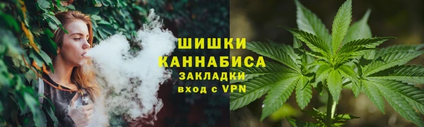 шишки Алзамай