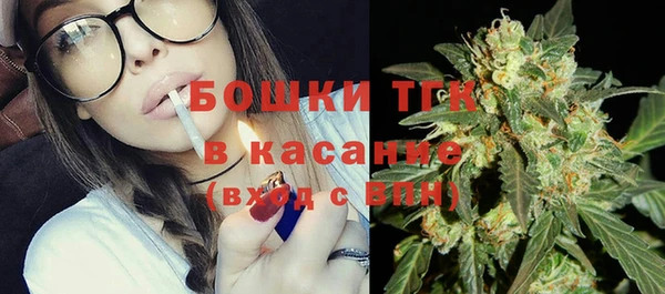 шишки Алзамай