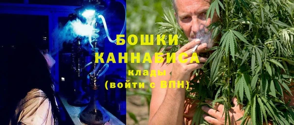 шишки Алзамай