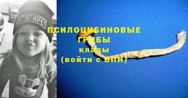 прущий лед Алексин