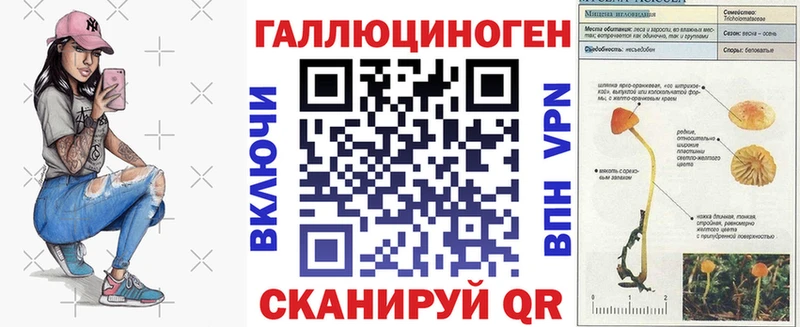магазин продажи Евпатория гидра зеркало Псилоцибиновые грибы Psilocybine cubensis